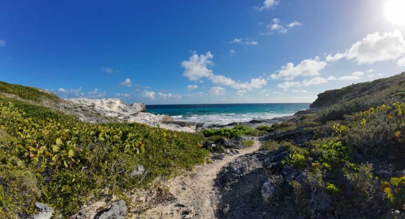 A winding sand path leads between two green hills and leads to the blue ocean beyond